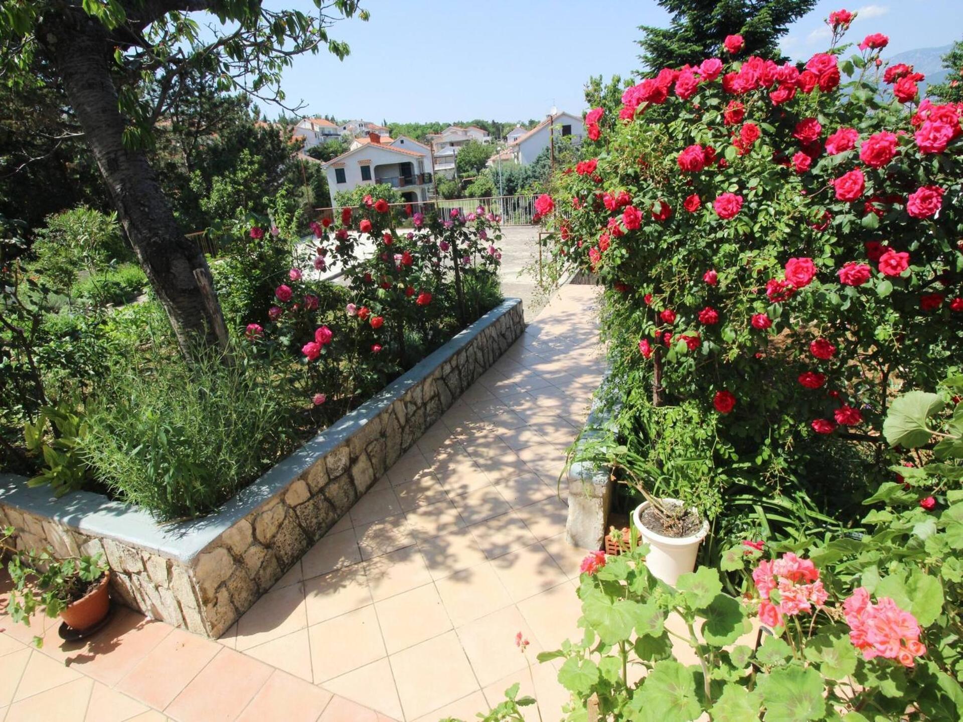 Apartments Dragica Šilo Екстериор снимка