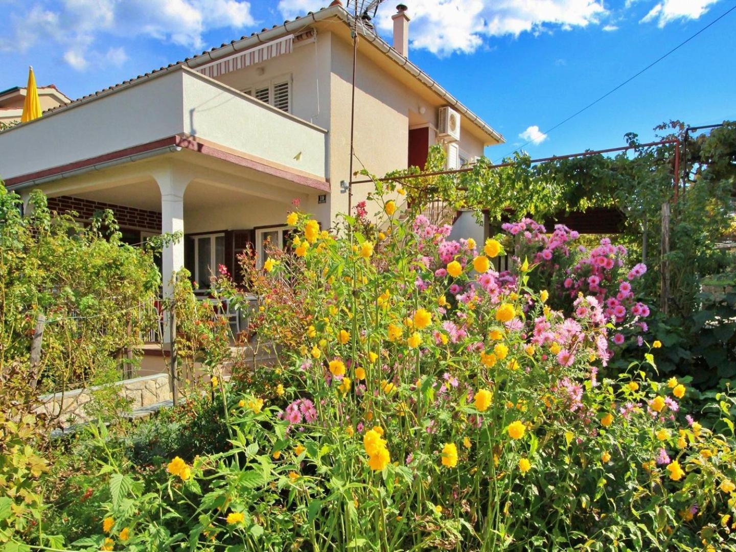 Apartments Dragica Šilo Екстериор снимка